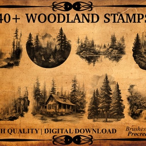 May include: 40+ Woodland Stamps digital download for Procreate.  The image shows a collection of hand-drawn stamps featuring various woodland scenes, including trees, mountains, waterfalls, and a cabin.