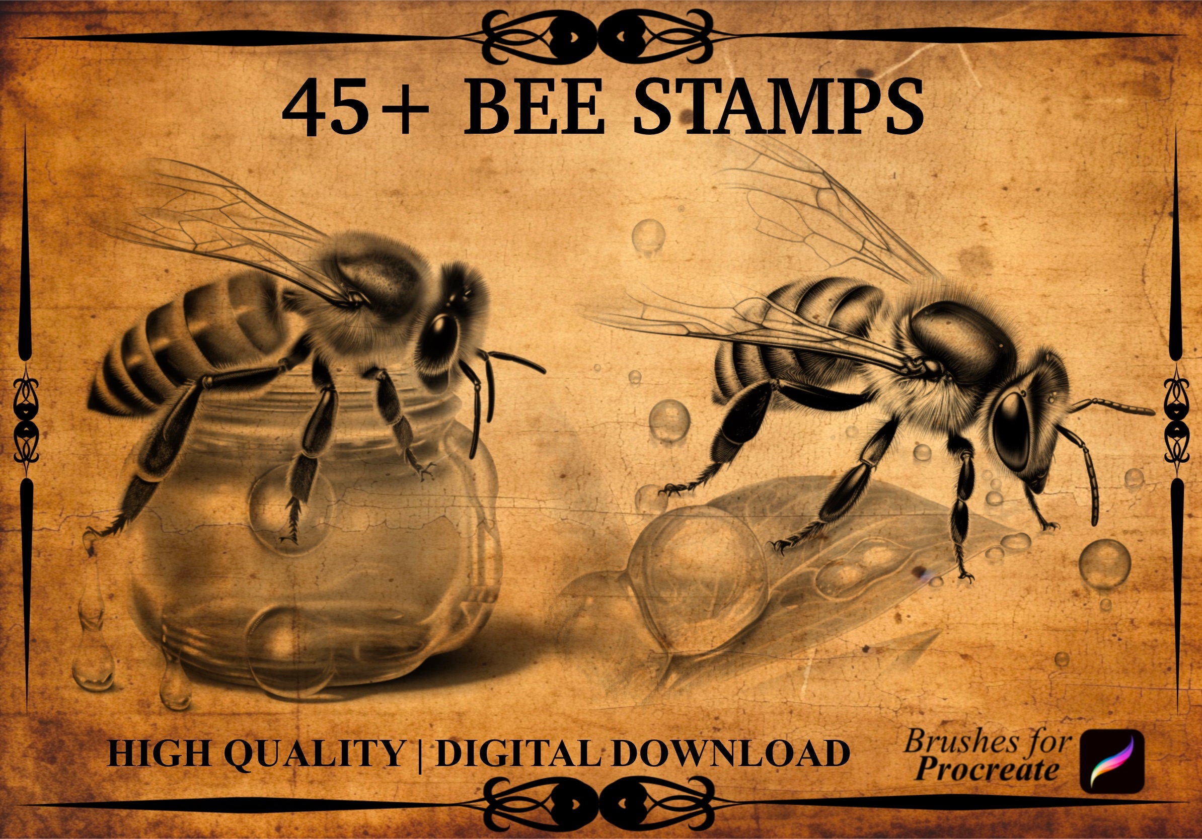 45+ Bee Procreate Brush Stamps - Etsy