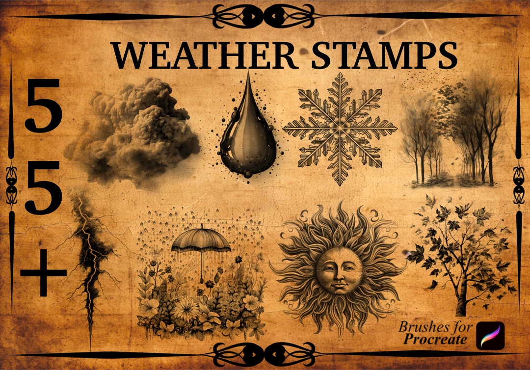 Weather Procreate Brush Stamps | Sun, Cloud, Rain (digital Download) - Etsy