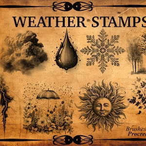 May include: A set of 5+ weather stamps for Procreate, featuring illustrations of a storm cloud, raindrop, snowflake, trees, lightning, an umbrella with rain, a sun with a face, and a tree with leaves.