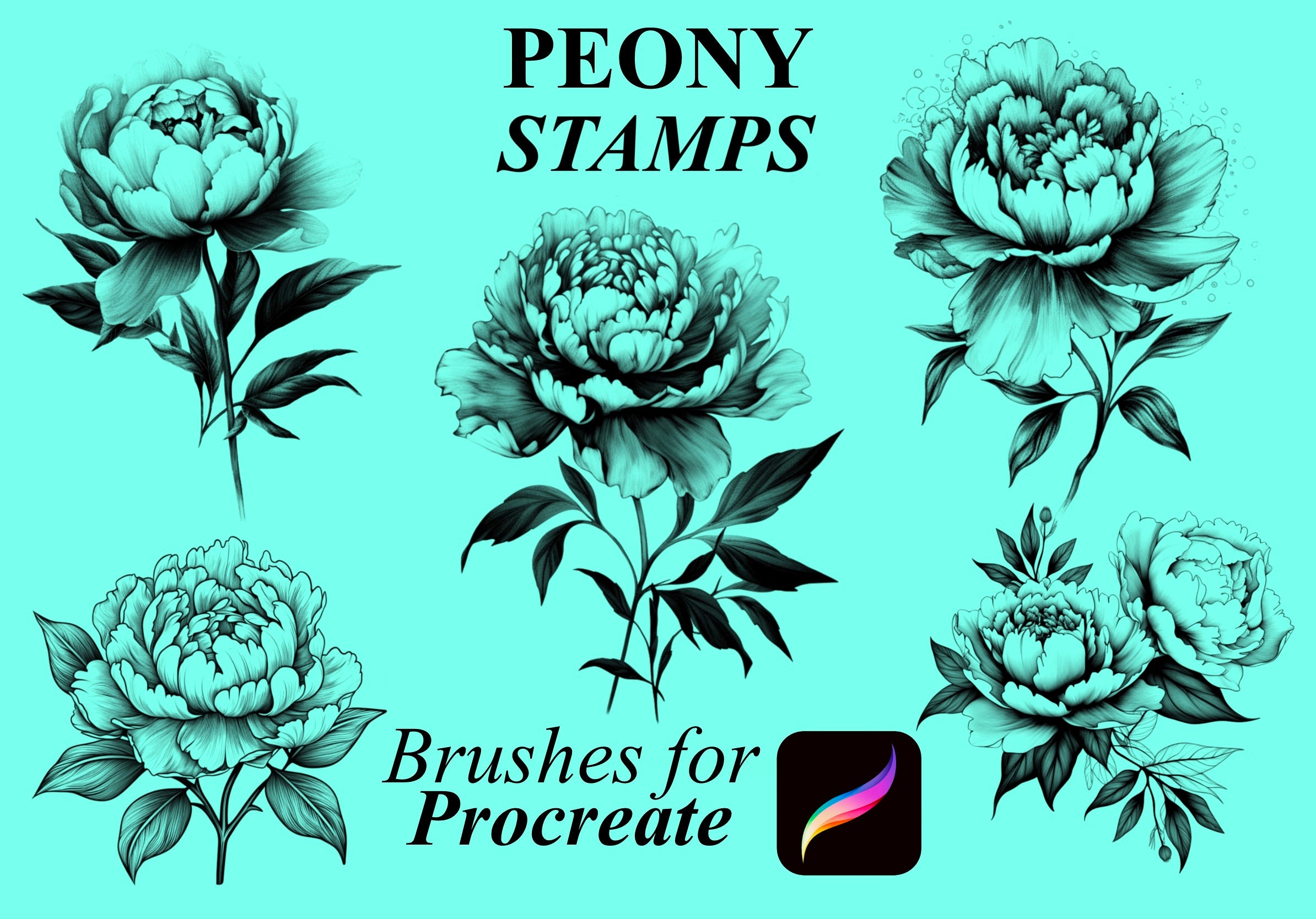 55+ Digital Peony Stamps for Procreate - Etsy