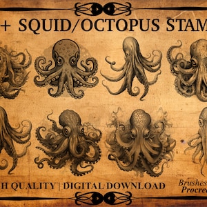 May include: 40+ digital stamps featuring detailed illustrations of squid and octopus in various poses. The stamps are designed for use with the Procreate app.