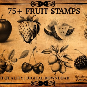 75+ Fruit Procreate Brush Stamp Set