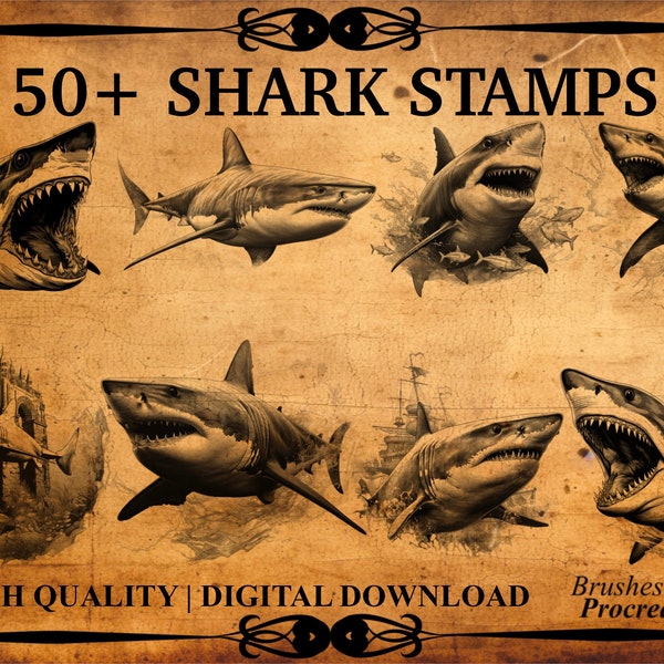 50+ Shark Procreate Brush Stamps