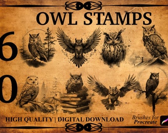 60 Owl Procreate Brush Stamp Set