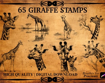 65 Giraffe Procreate Brush Stamps