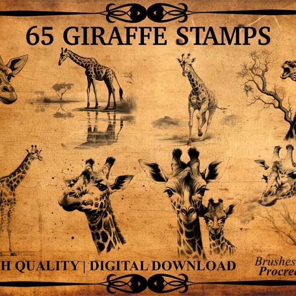 65 Giraffe Procreate Brush Stamps