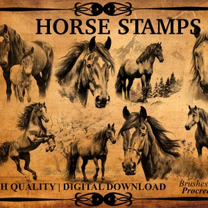 55 Horse Procreate Brush Stamps