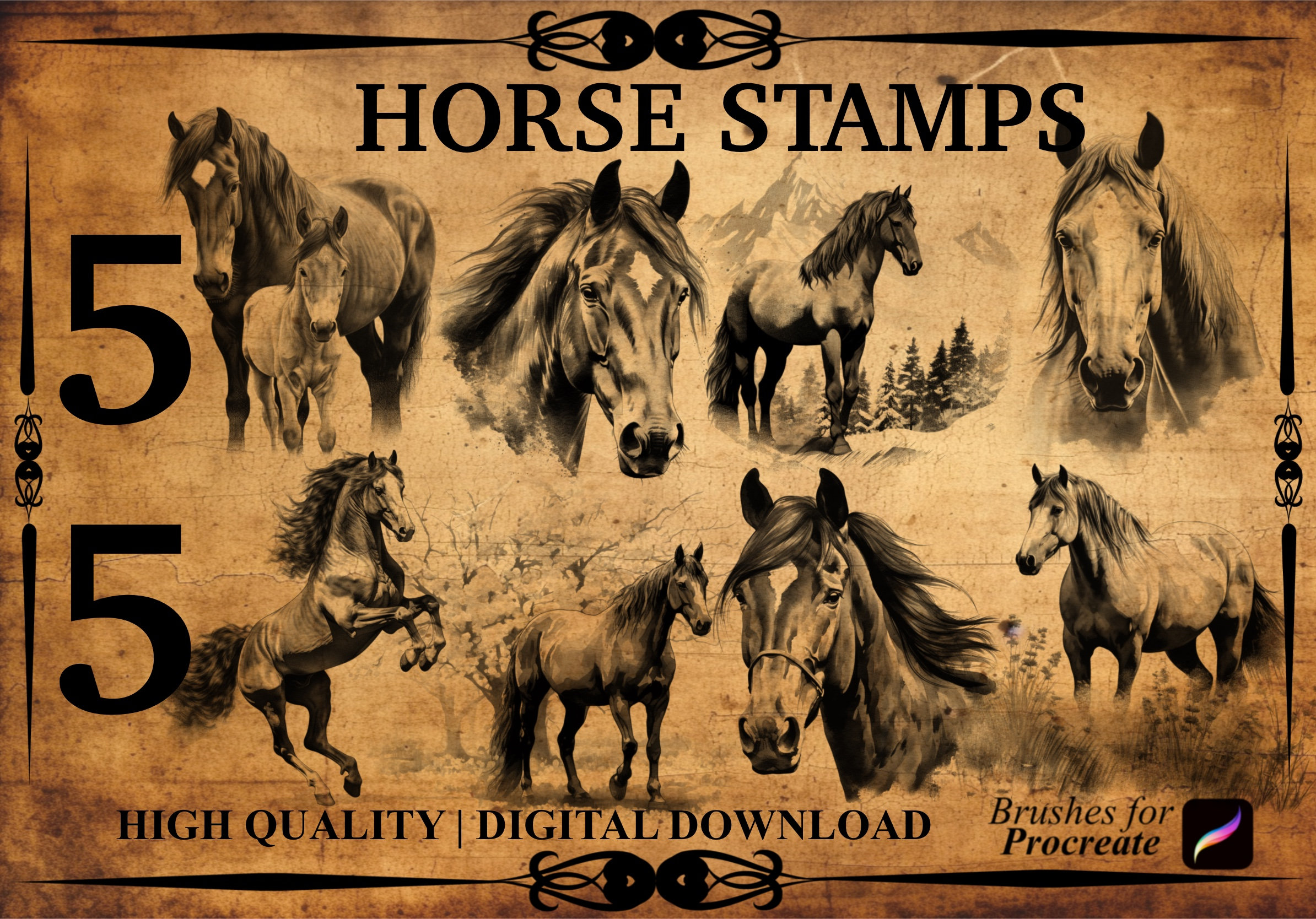 55 Horse Procreate Brush Stamps Etsy