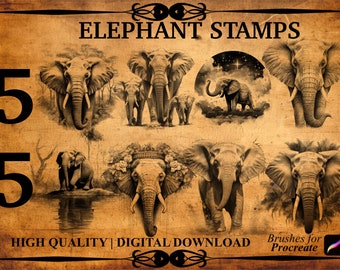 55 Elephant Procreate Brush Stamps
