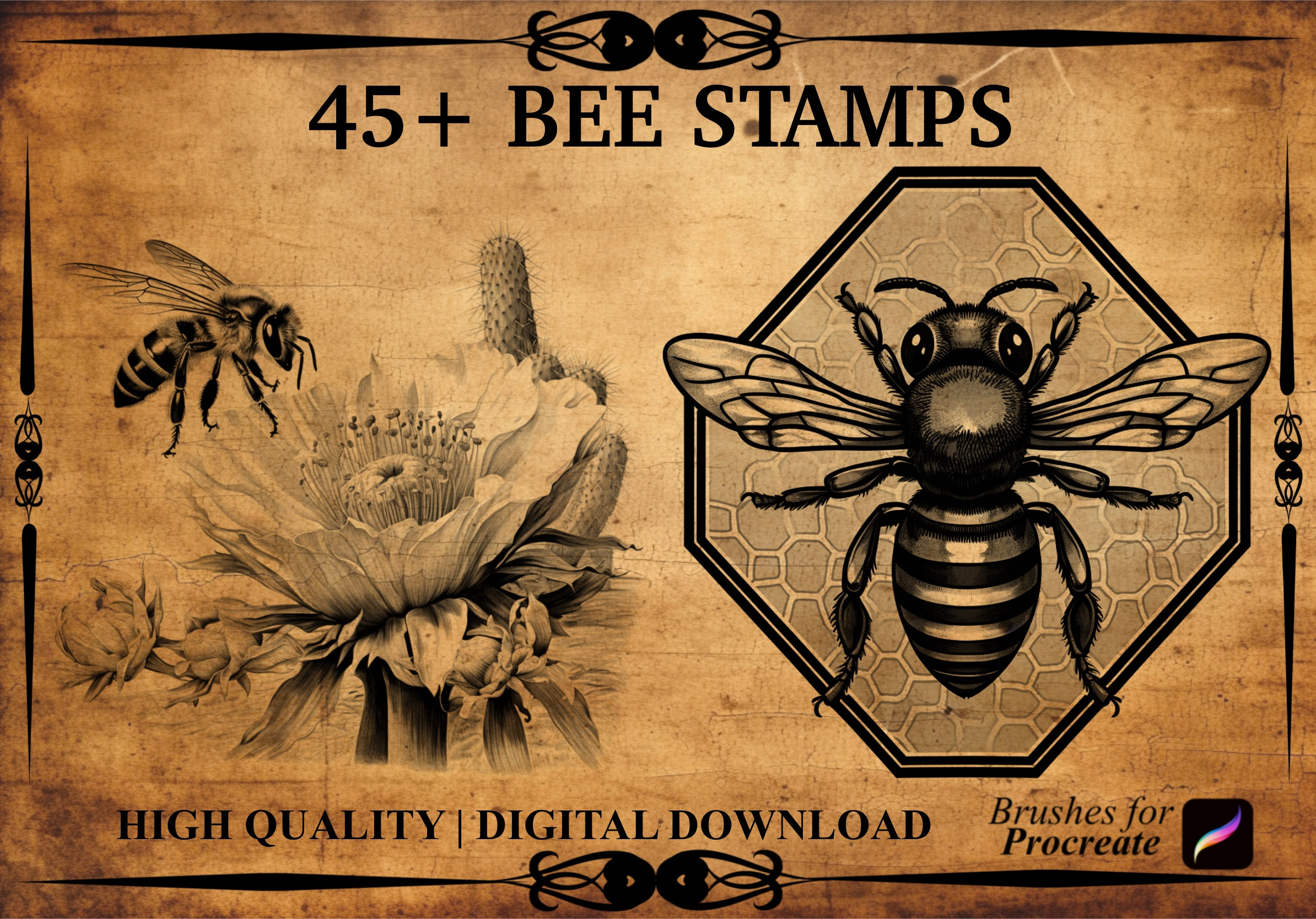 45+ Bee Procreate Brush Stamps - Etsy