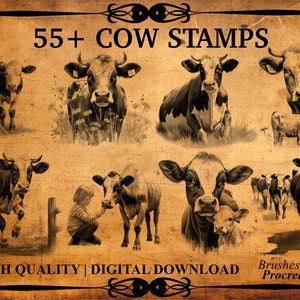 May include: A set of 55+ digital cow stamps for Procreate. The stamps feature various poses of cows, including a cow with a calf, a cow standing by a tree, and a group of cows walking. The stamps are in a vintage style, with a brown and white color scheme.