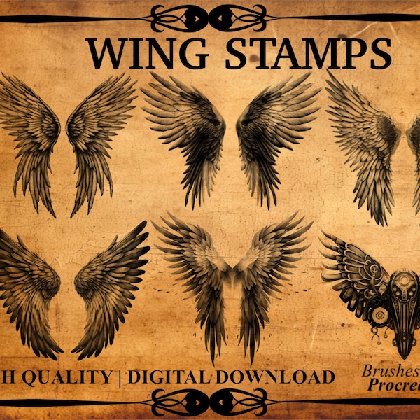 35+ Wing Procreate Brush Stamp