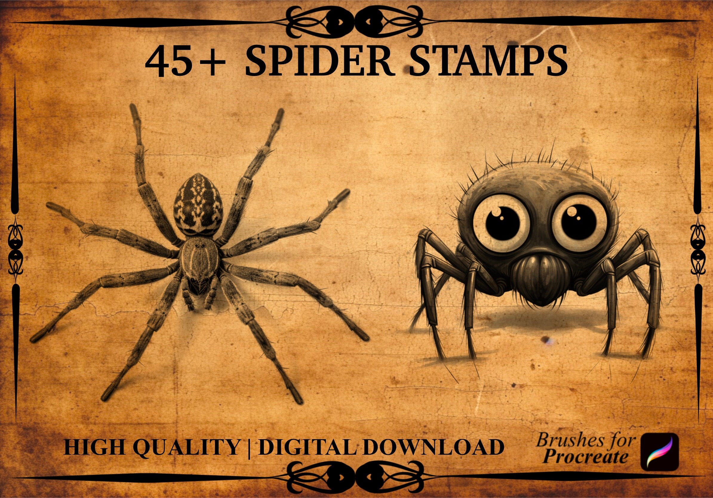 45+ Spider Procreate Brush Stamps - Etsy