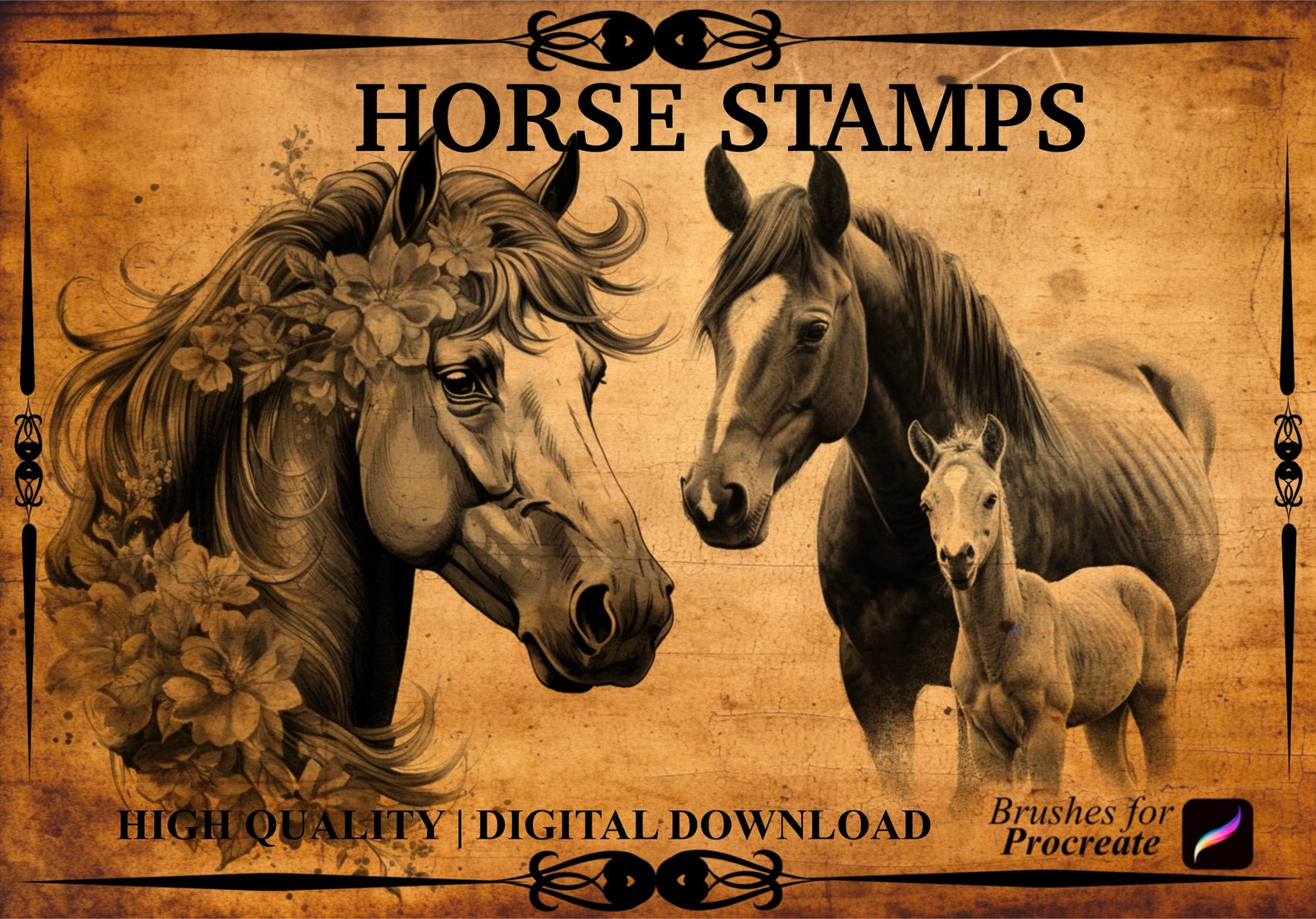 55 Horse Procreate Brush Stamps Etsy