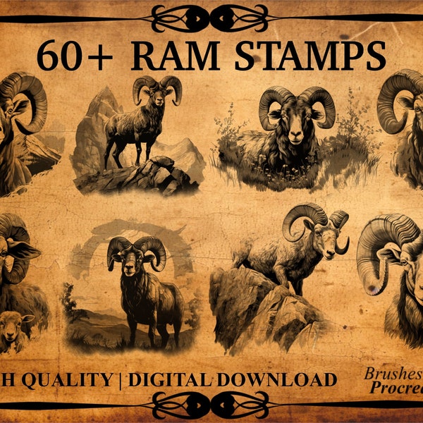 60+ Ram Procreate Brush Stamps