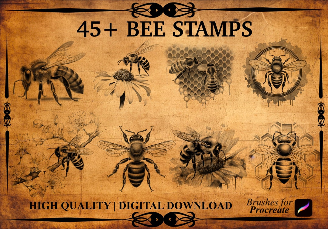 45+ Bee Procreate Brush Stamps - Etsy