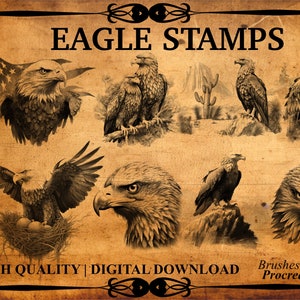 55 Eagle Procreate Brush Stamp Set