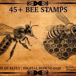 45+ Bee Procreate Brush Stamps - Etsy