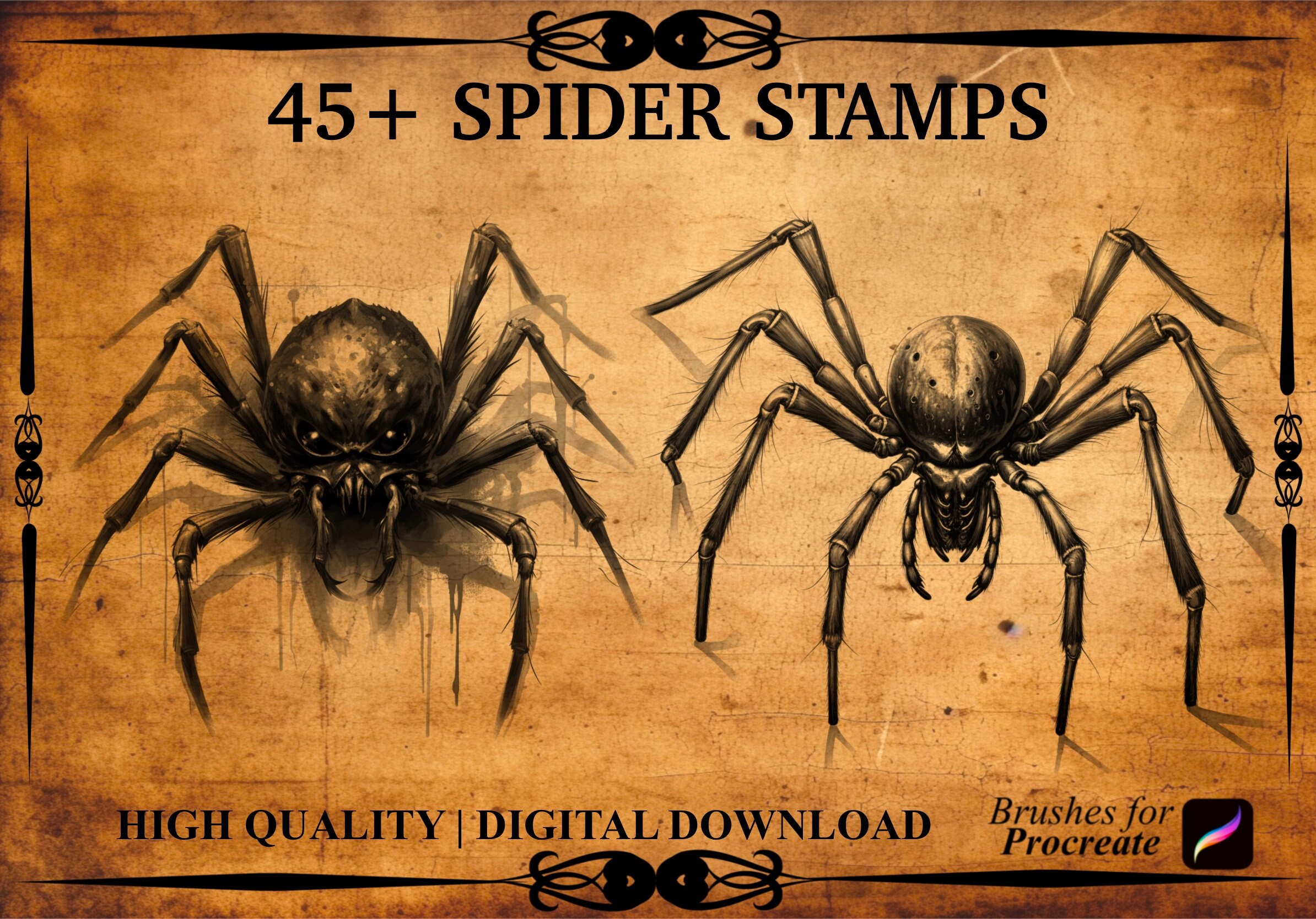 45+ Spider Procreate Brush Stamps - Etsy