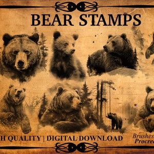 50+ Bear Procreate Brush Stamps