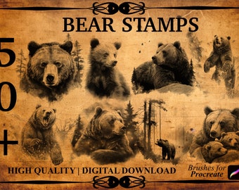 50+ Bear Procreate Brush Stamps