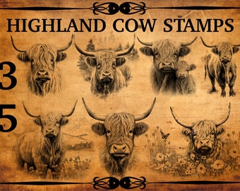 35 Highland Cow Procreate Brush Stamps | Digital Art (Brushset)