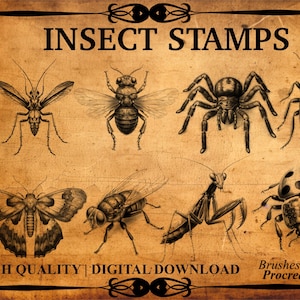 Puede incluir: Un conjunto de 6+ sellos de insectos digitales de alta calidad para Procreate. Los sellos presentan ilustraciones detalladas de varios insectos, incluyendo una mariposa, una araña, una mosca y un escarabajo.