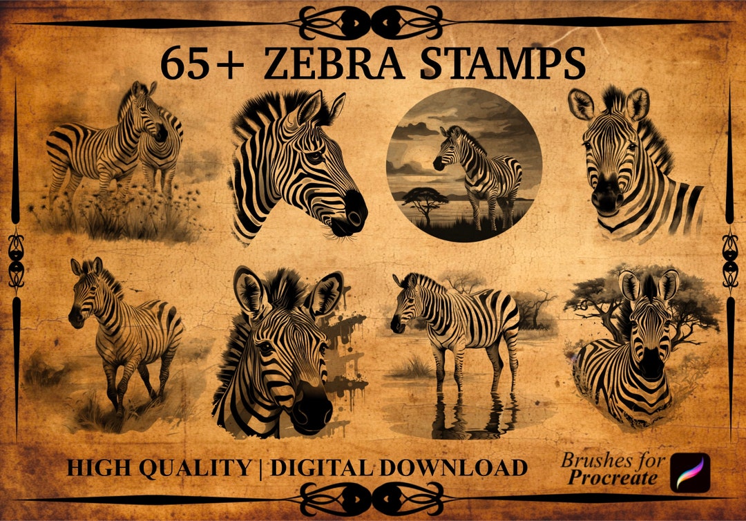 65 Zebra Procreate Brush Stamps Etsy