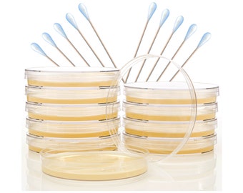 Nutrient Agar Science Project Kit by Evviva Sciences - Prepoured Agar Plates - Ideal for Students - Experiment EBook Included