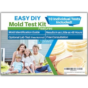 Home Mold Tests - 10 Pack - Test Your Home for Molds - Test HVAC System, Room Air, & Home Surfaces - Optional Lab Analysis