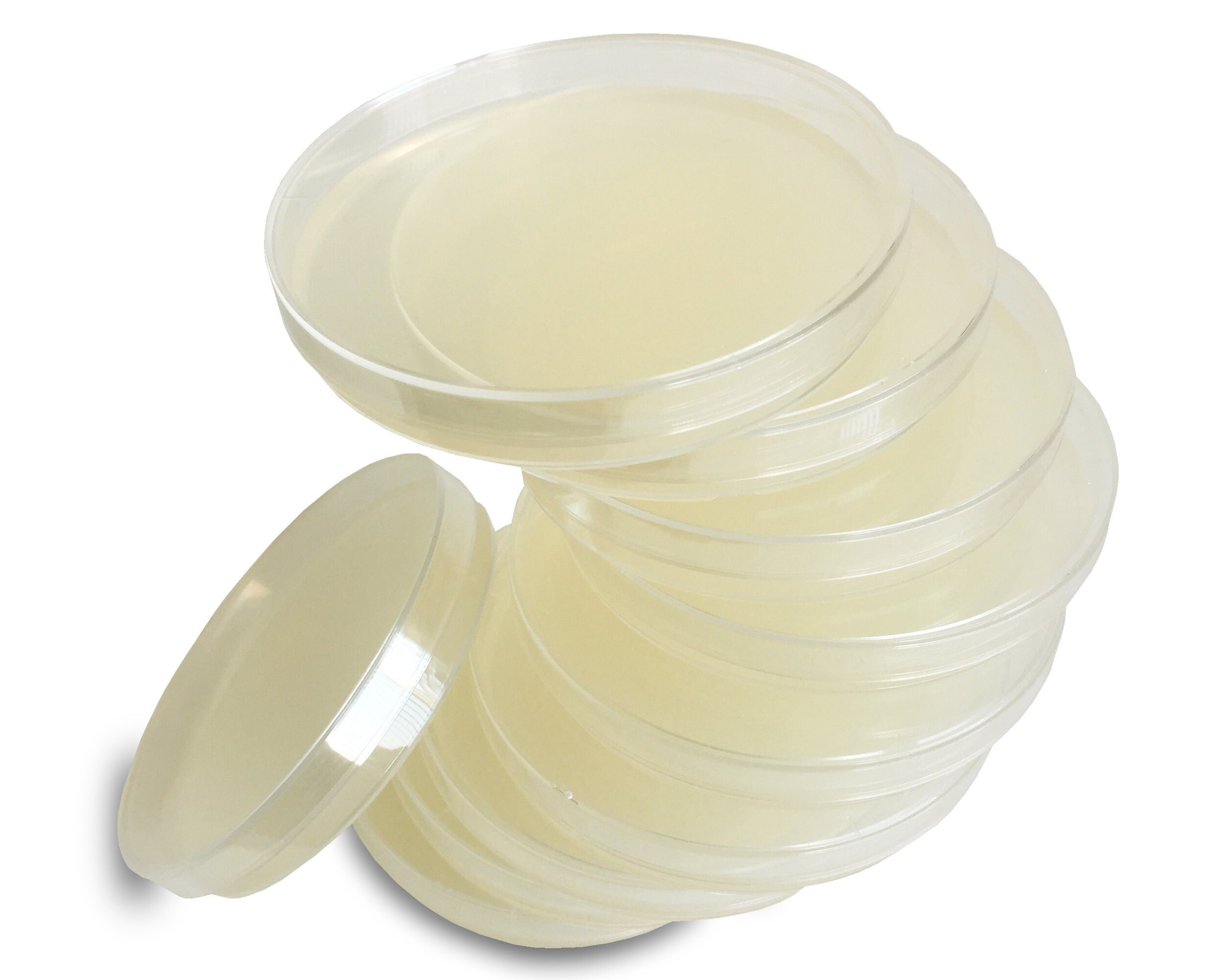 Evviva Sciences LB Agar Petrischalen – Sterile, Vorgegossene Nährböden Für Bakterien & Pilze