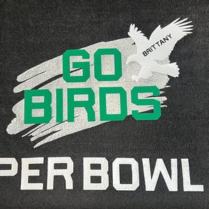 Philadelphia Eagles fan towel
