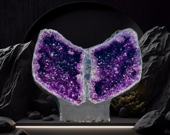 103 lbs Amethyst Wings | Cathédrale d'améthyste 102 Kg - Brazil