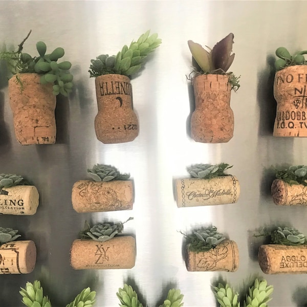 Wine Cork Faux Succulent Magnet Sets, Fall Fridge Plant Holders, Baby Shower, Bar Decor,Wedding Engagement Favors,Winter Refrigerator Magnet