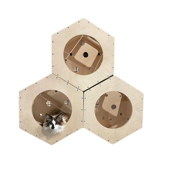 Cat Hexagon Shelves Etsy