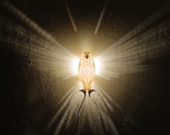 Lâmpada mágica Eagle / Luz de parede Eagle / Luminárias decorativas / Luz noturna Eagle