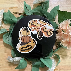 May include: Two vinyl stickers featuring a snake and a pumpkin. The snake sticker is brown and yellow with a black outline. The pumpkin sticker is orange and yellow with a black outline. Both stickers are on a black background.