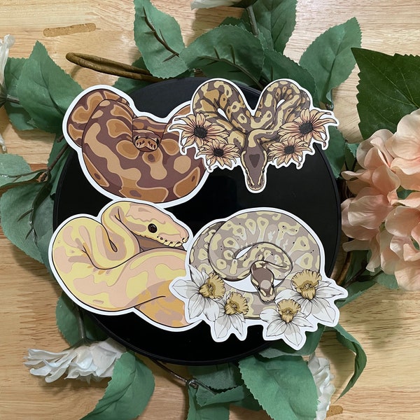 Banana Ball Python Stickers