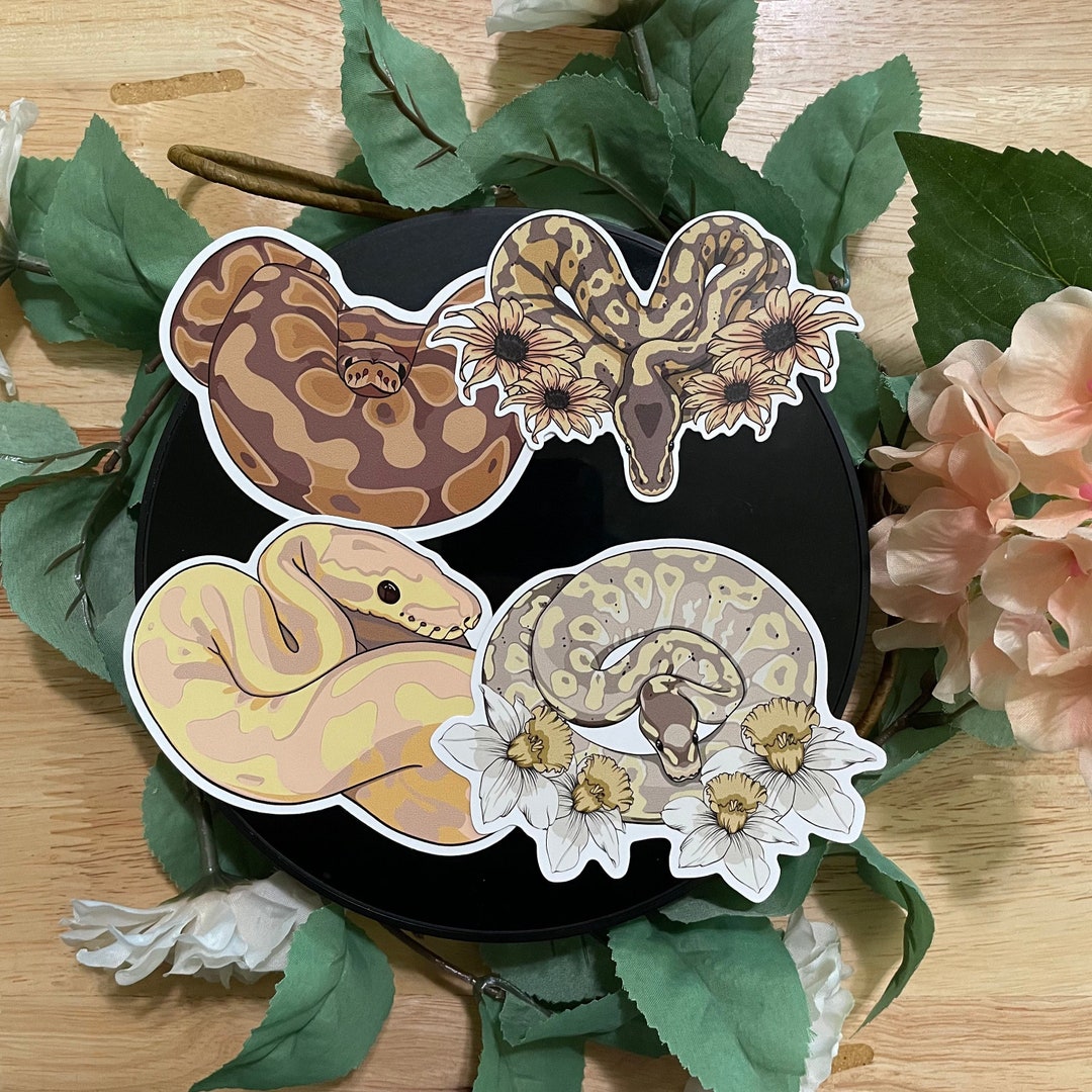Banana Ball Python Stickers - Etsy