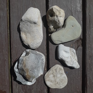 Unique Raw White Rocks | Michigan Lake Superior Raw Natural Rocks and Stones | For Crafting Decorating and Display