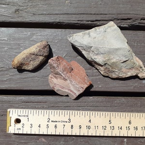 Sandstone Lot | Michigan UP Lake Superior Raw Natural Rocks and Stones | For Crafts Decorating and Display