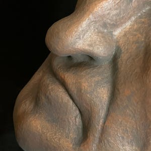 May include: A close-up of a sculpted face profile, featuring a prominent nose and textured skin. The sculpture has a muted color palette with shades of gray and brown, creating a weathered appearance. The background is a solid black.