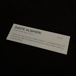 May include: A white rectangular label with the text "DANTE ALIGHIERI" and "Death mask, Italy, 1321 AD". The label also includes the text "Traditional impression of Dante Alighieri... sculpted effigy" and the measurement "26 cm".