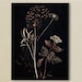 see more listings in the Botanische prenten section