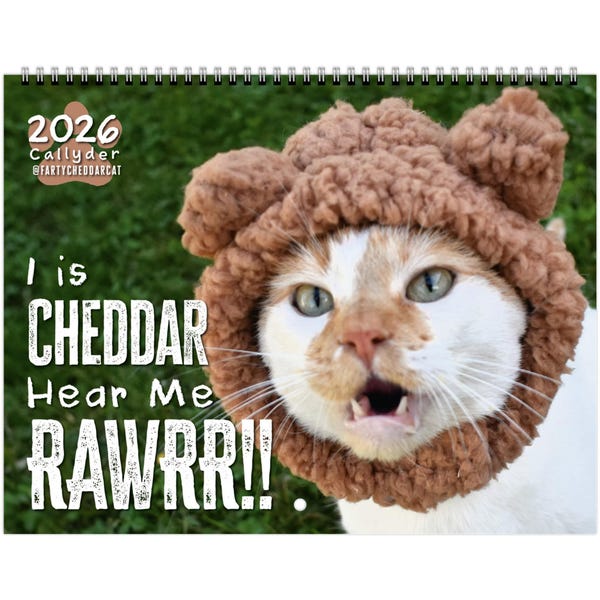 Gifts With Cat Print - 60+ Gift Ideas for 2026