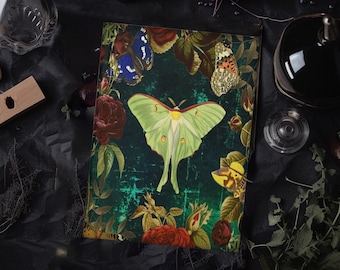 Luna Moth Journal | Floral Butterfly Dream Notebook
