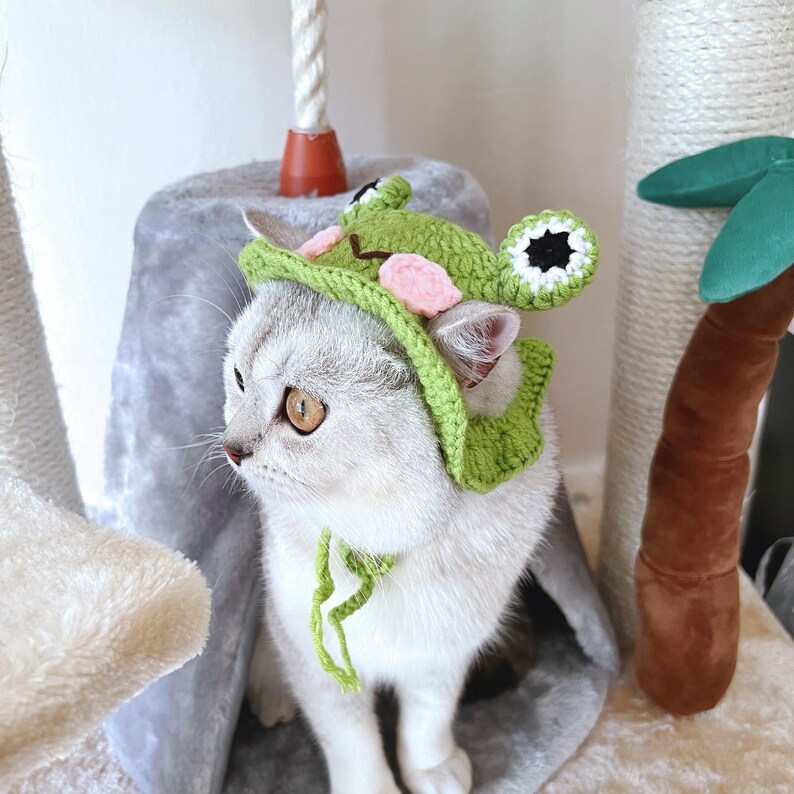 Frog Crochet Hat for Cats or Small Dogs Etsy