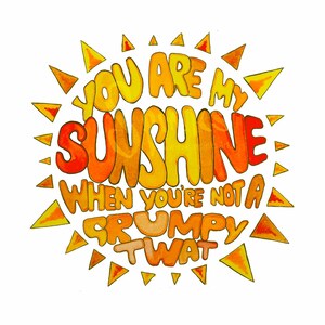 You are my Sunshine when you're not a grumpy twat print