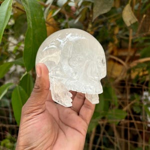 Crystal Skull Quartz Skull Stone Skull Carving | Crystal Carved Skull Head/Healing Crystal/Skull Sculpture/Free Standing/Skull Decor1.1kg